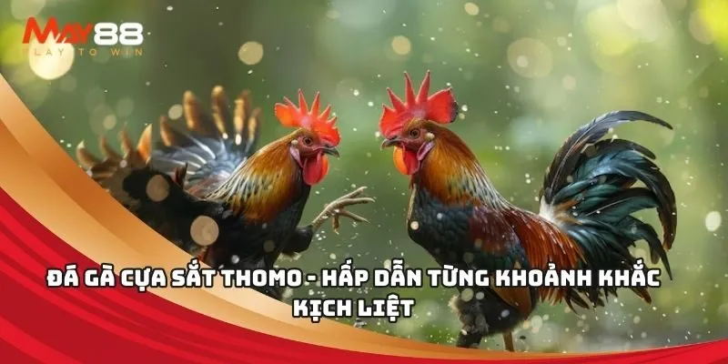 Tôi cần đăng ký và tạo tài khoản Cwin như thế nào? - Cwin