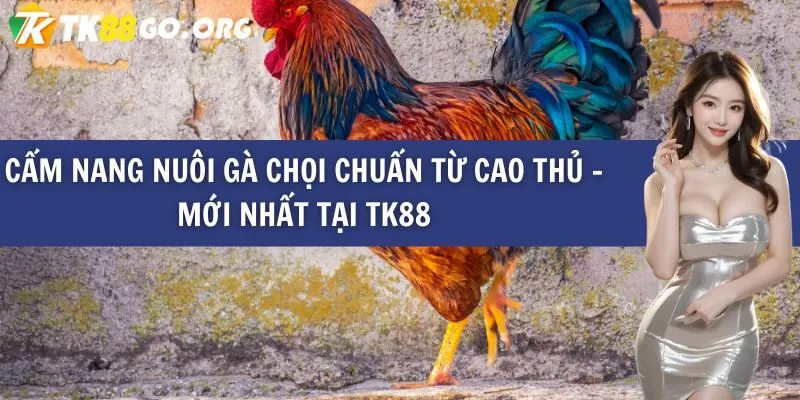 Trò chơi máy đánh bạc vui nhộn 11Vn - 11Vn