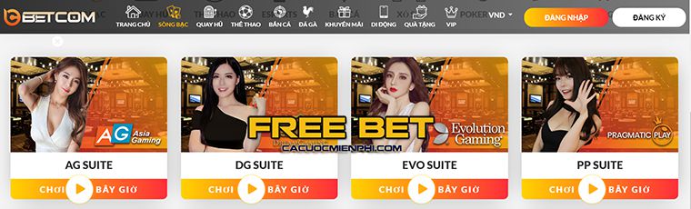 Việc đăng ký Kg88 bằng điện thoại di động rất đơn giản - Kg88