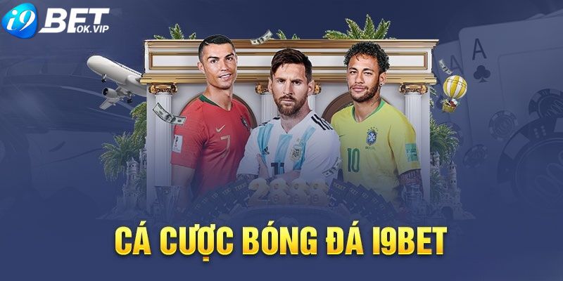 Những lợi ích to lớn khi trở thành nhà phân phối Nohu - Nohu