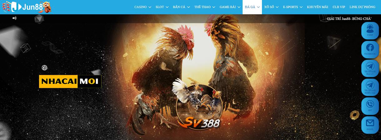 Ưu điểm của các trang web game cấp 7Ball - 7Ball