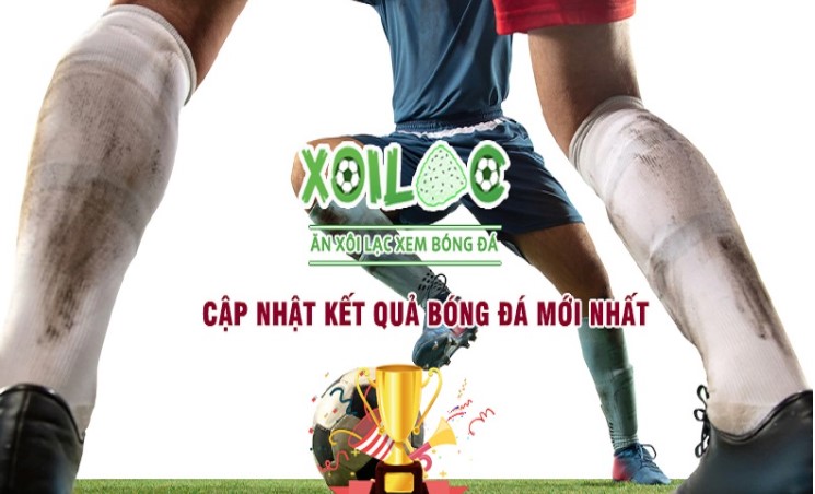 Bong88 cung cấp hỗ trợ chuyên nghiệp cho người chơi - Bong88