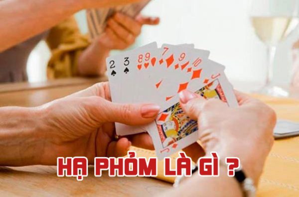 Những thương hiệu thể thao nào là đối tác của Mibet Games? - Mibet