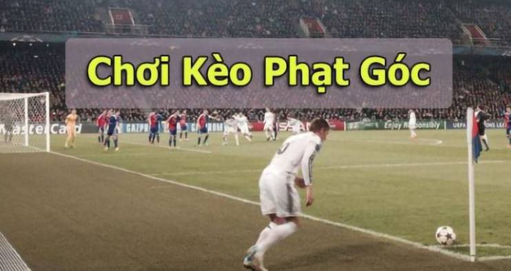 Liệu Iwin có phải là lựa chọn cá cược tốt nhất? - Iwin