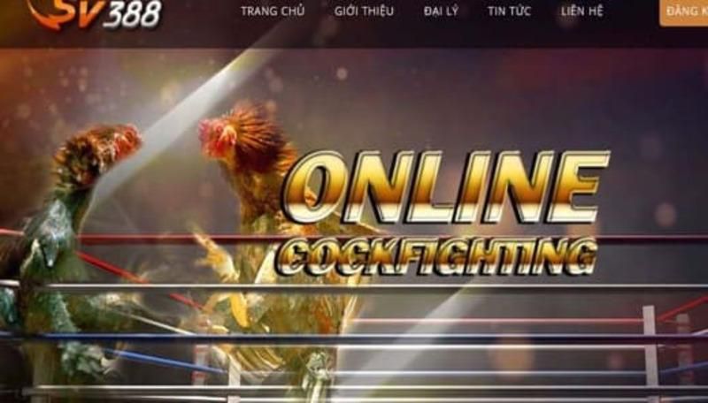 Những mẹo và thủ thuật viết bài đạt chuẩn Ffok mà bạn có thể chưa biết - Ffok