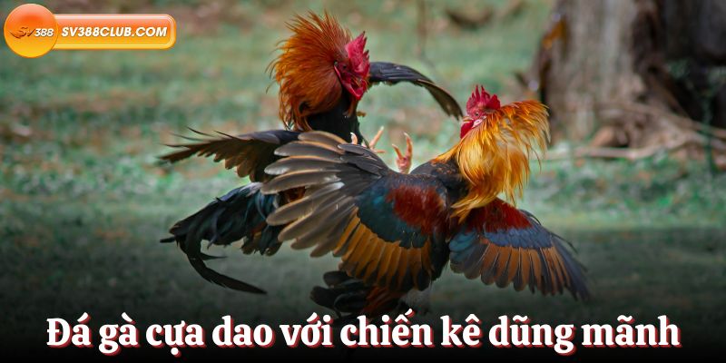 Liên kết mở khóa mới nhất của Max88 - Max88