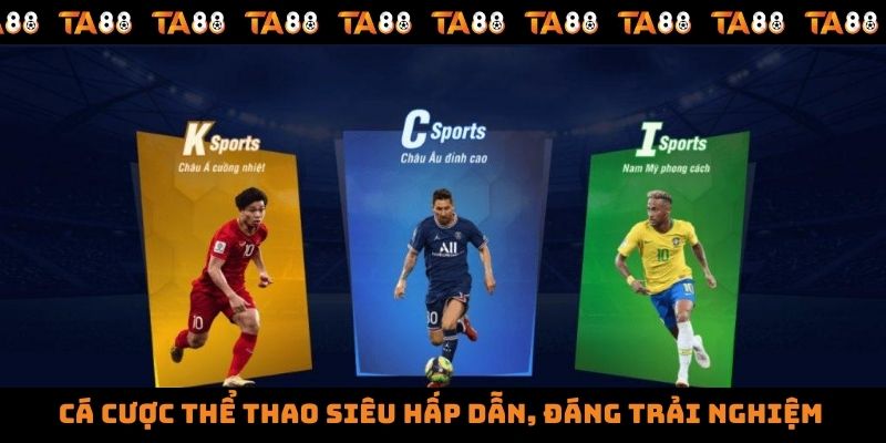 Chính sách Vesovn của đại lý nổi tiếng - Vesovn
