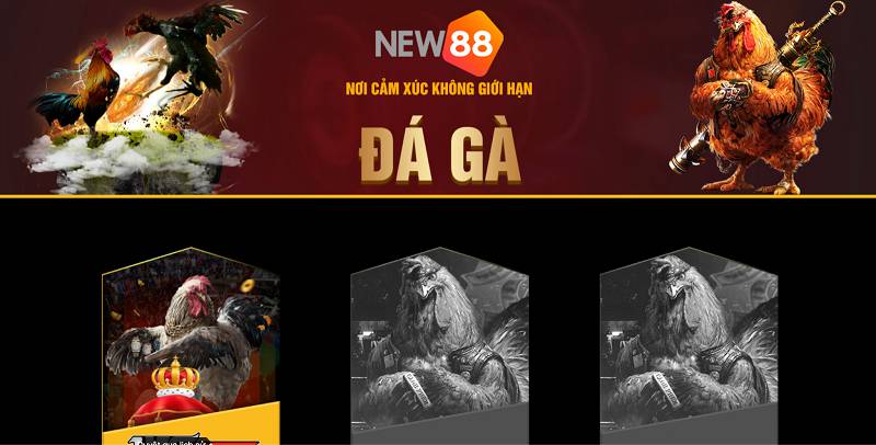 Hãy đánh giá về chính sách bảo mật và dịch vụ khách hàng của Xoso66 - Xoso66