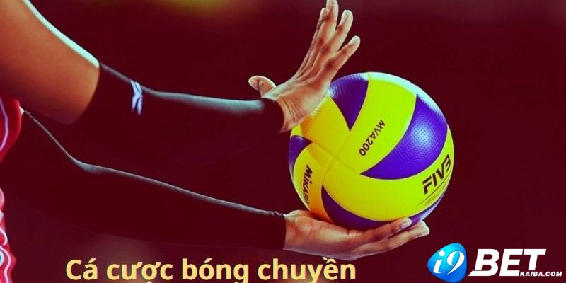 Tin đồn C54 là một trò lừa đảo bắt nguồn từ đâu? - C54