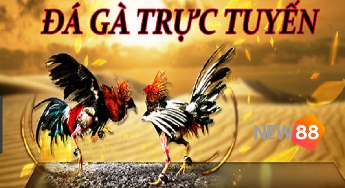 Trang web nền tảng Hb88 Hb88 - Hb88